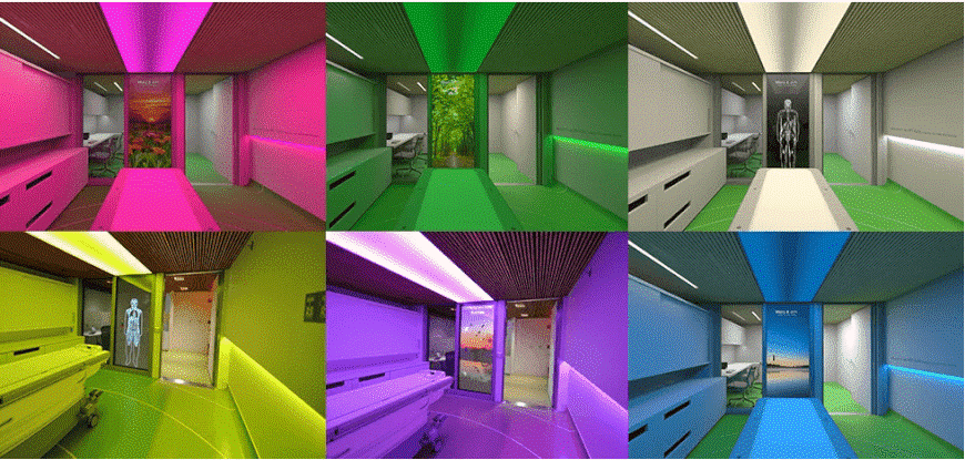 Traditional hospitals